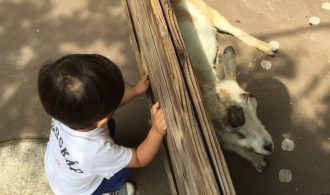 我が子がいじめに合っていた時の「いじめ対処法」
